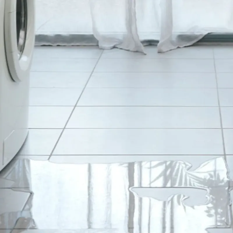 Appliance Leak Cleanup in Greenwood, PA