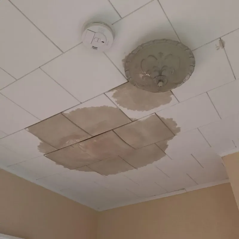 Ceiling Water Damage Repair in Greenwood, PA