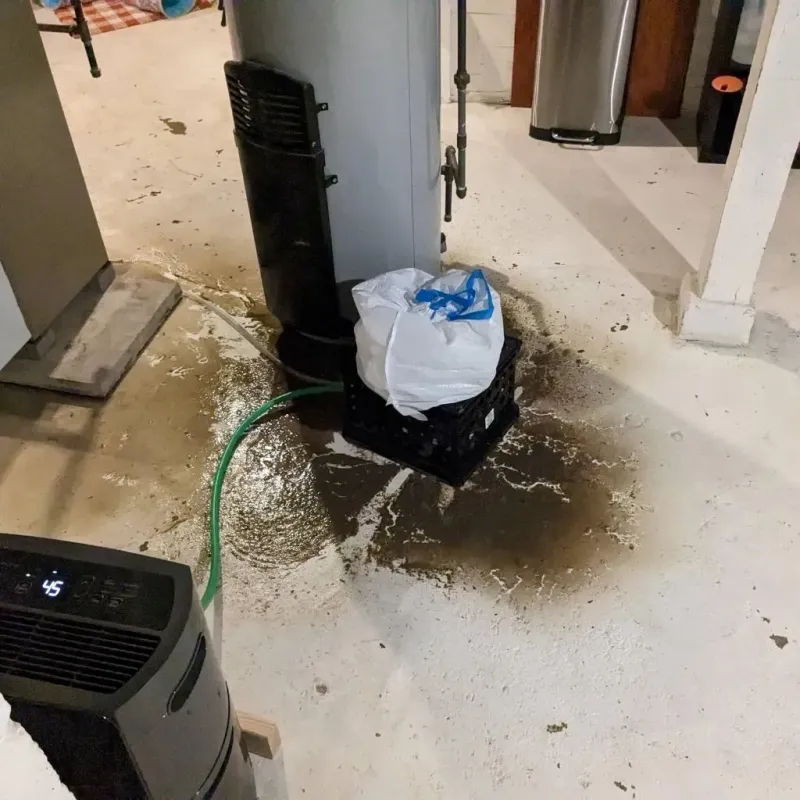 Sewage Backup Cleanup Service in Greenwood, PA